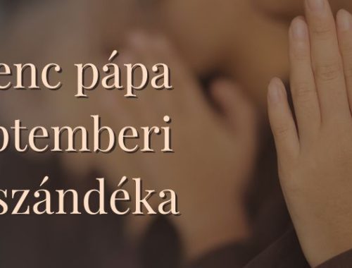 A pápa szeptemberi imaszándéka: A föld kiáltásáért