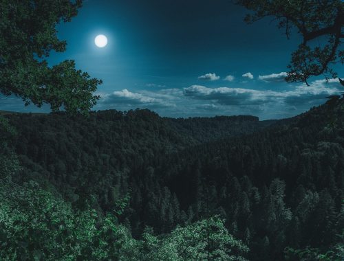 Tűzgyújtás – Sajgó Balázs atya elmélkedése az évközi 20. vasárnapra