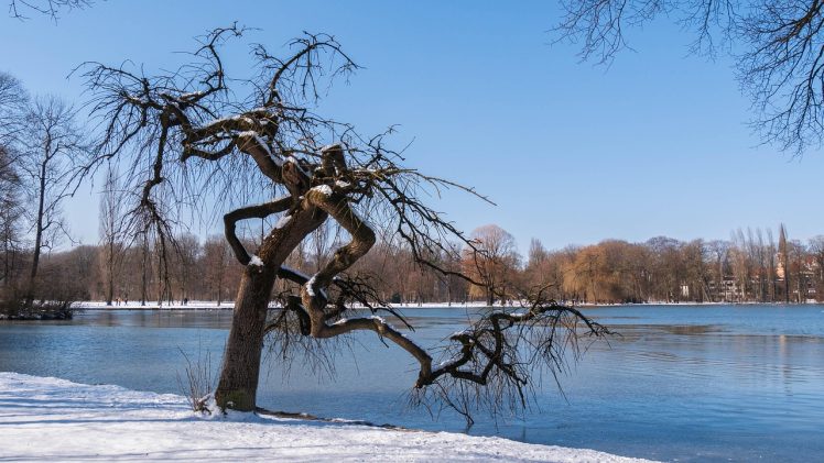 Csalódásból örömbe: Sajgó Balázs atya elmélkedése Advent 3. vasárnapjára