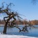 Csalódásból örömbe: Sajgó Balázs atya elmélkedése Advent 3. vasárnapjára