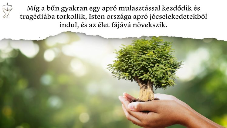 A bűn lejtője és a kegyelem türelme 📖