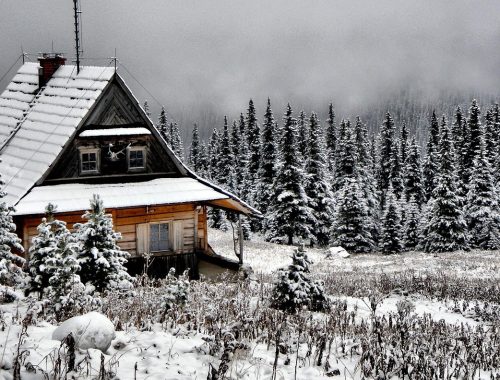 Aranykunyhó