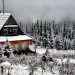 Aranykunyhó