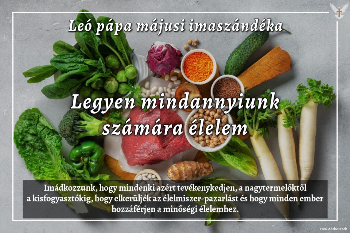 Leó pápa májusi imaszándéka: Legyen mindannyiunk számára élelem