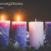 2. adventi hét, kedd
