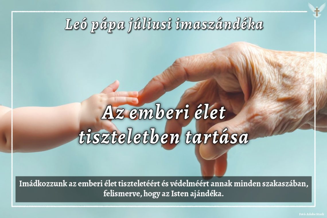Leó pápa júliusi imaszándéka: Az emberi élet tiszteletben tartása